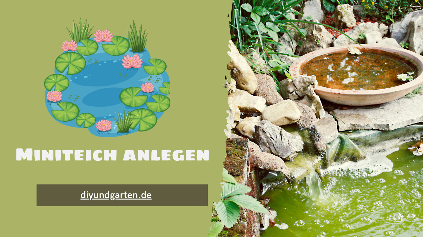 Miniteich anlegen