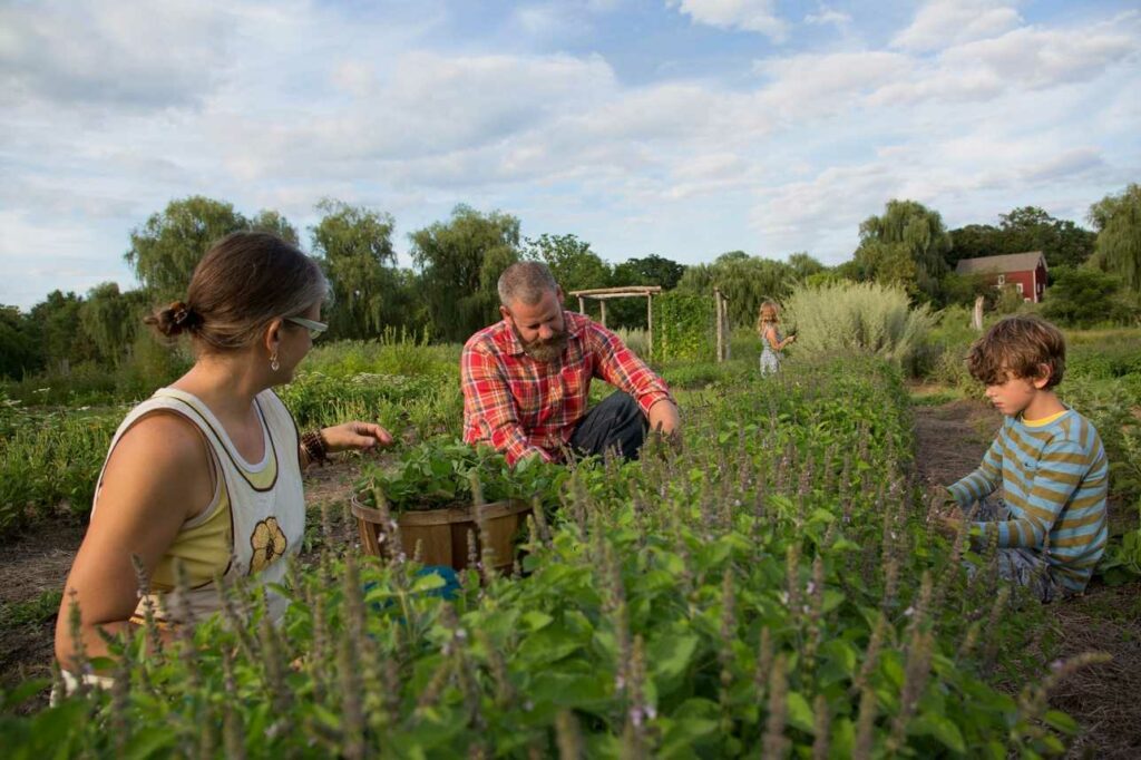 Beet Die Qual der Wahl des grünen Zuhauses