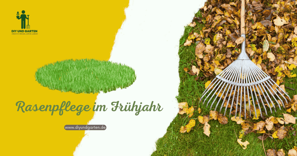 Rasenpflege im Frühjahr Ihr kompletter Ratgeber für einen gesunden, dichten Rasen
