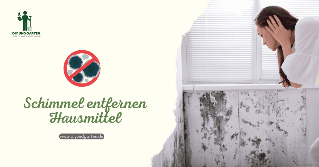 Schimmel entfernen Hausmittel