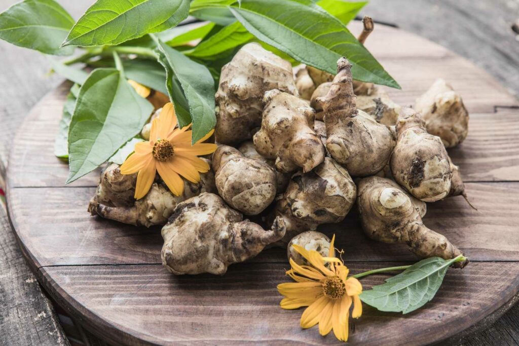 Warum Topinambur im eigenen Garten anbauen Die Vorteile der Erdbirne