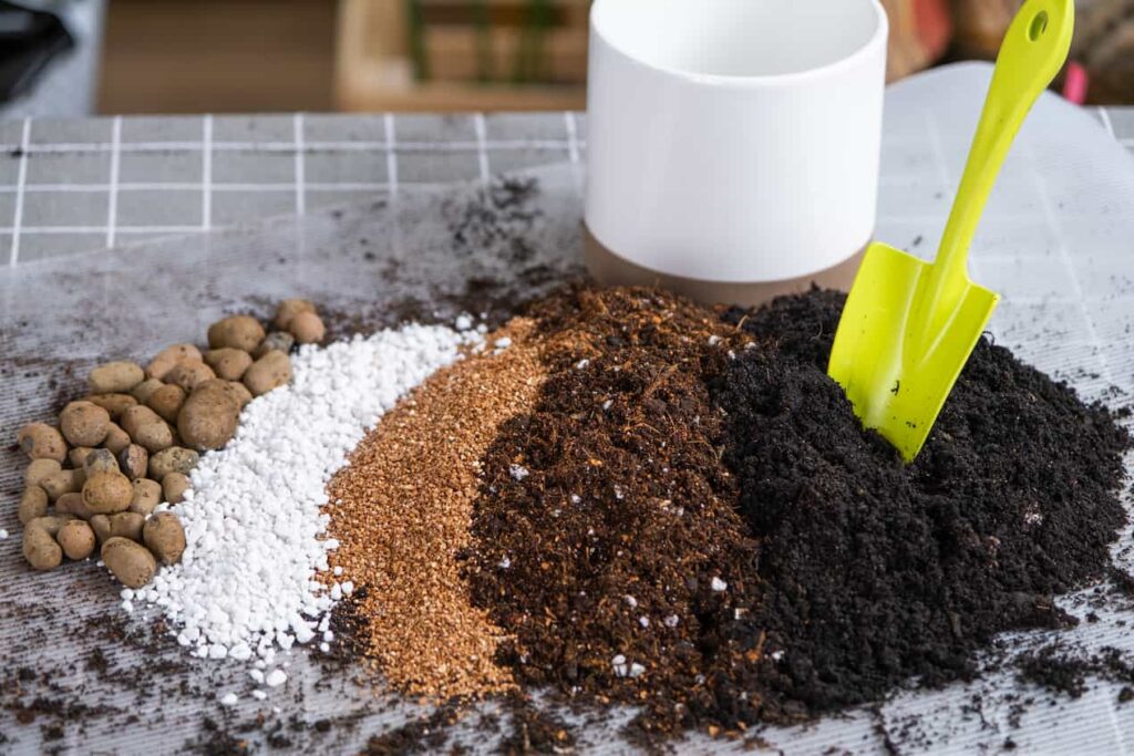 Warum spezielle Hochbeeterde kaufen Das unterscheidet sie von normaler Gartenerde