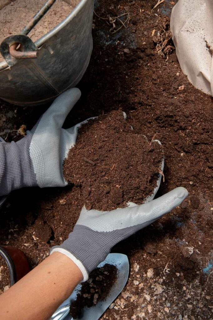 Bodenvorbereitung für Profis Warum Ihre Karotten einen Sandkasten lieben