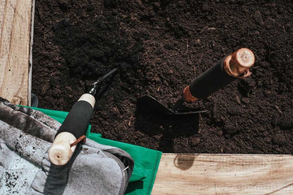 Der ideale Standort und die Bodenvorbereitung