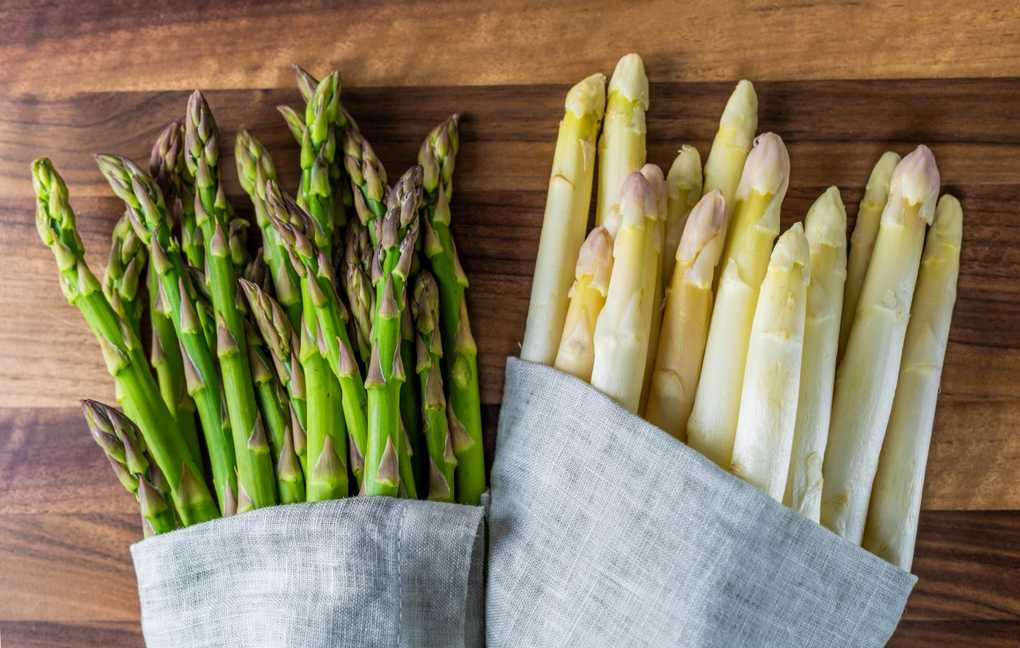 Die Planung Was Sie wissen müssen, bevor Sie Spargel pflanzen
