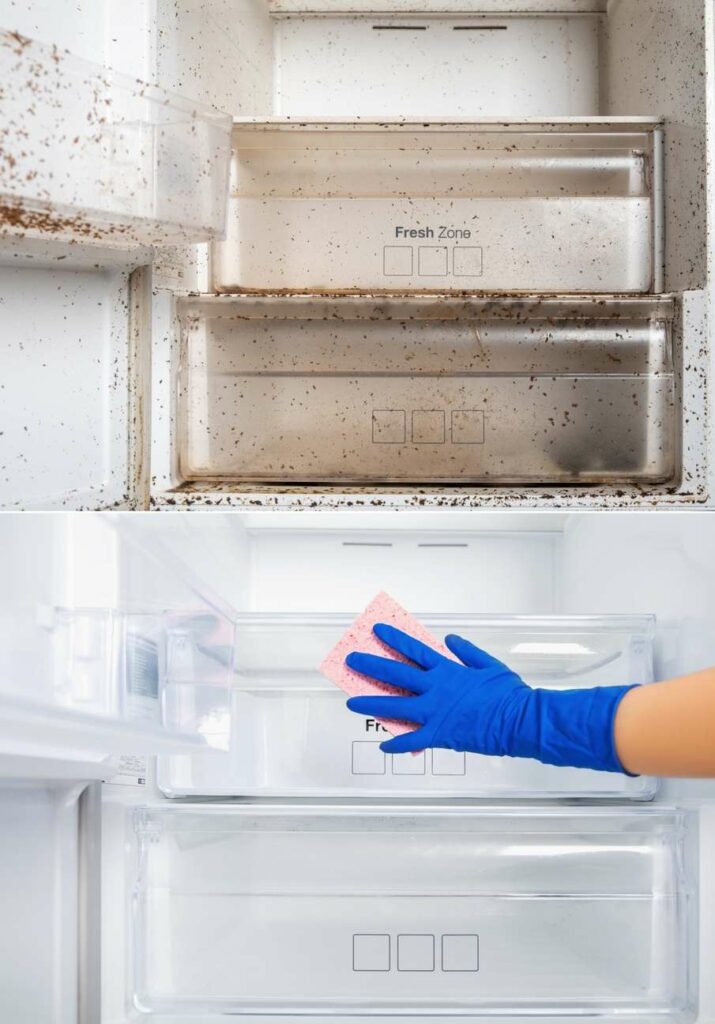 Hilfe, Schimmel im Kühlschrank! 2